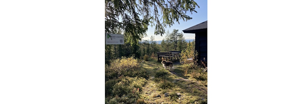 Ti på topp avslutning Elverum 2023